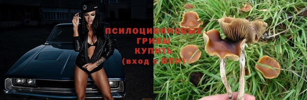 тгк Арсеньев